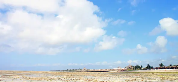 Advising a Kenyan Commercial bank on their climate risks