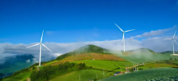 Advising EIB on its green finance portfolio