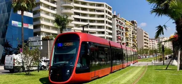 Advising national banks on their green transformation journey