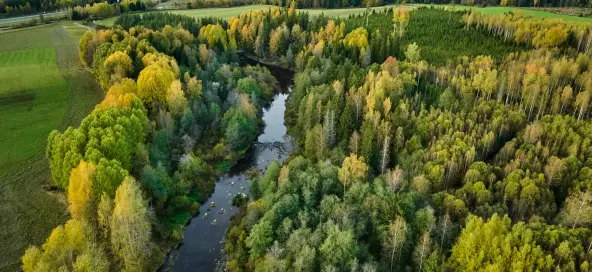 Advising on the launch of a biodiversity fund in Europe