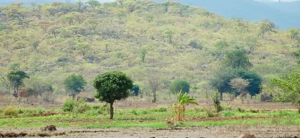 Advising Tanzania Agricultural Development Bank (TADB) on climate risk management