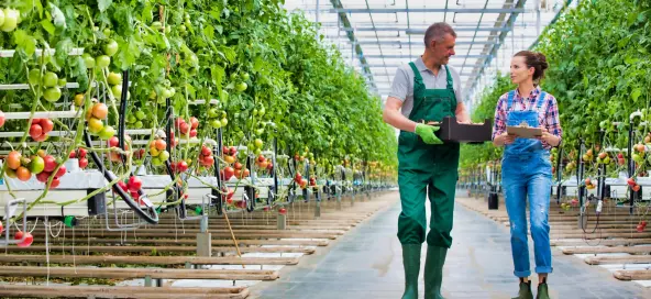 Advisory support for the design of a sustainability-linked loan portfolio