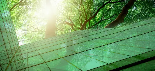 Designing a green future index