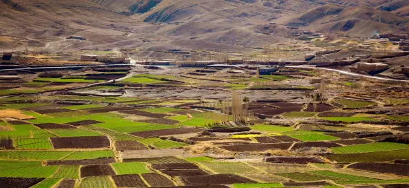 Designing an investment strategy for green finance facilities