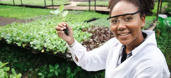 Evaluation of Africa Leasing Facility