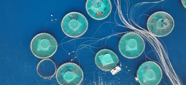 Measuring unsustainable finance impacts in the blue economy