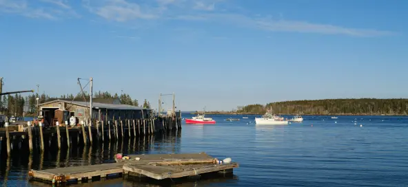 Re-engineering the ocean health index