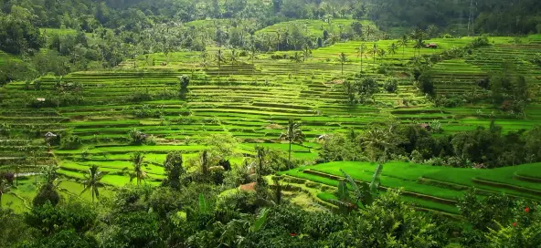 Strengthening co-financing strategies with the Asian Development Bank to address emerging challenges