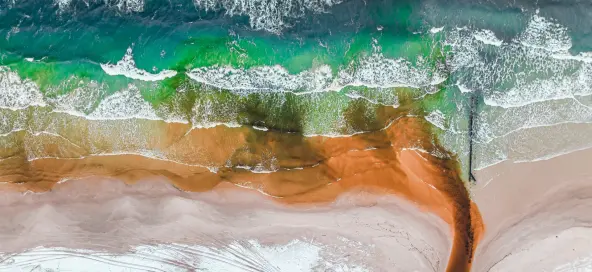 Valuing environmental damage and restoration options