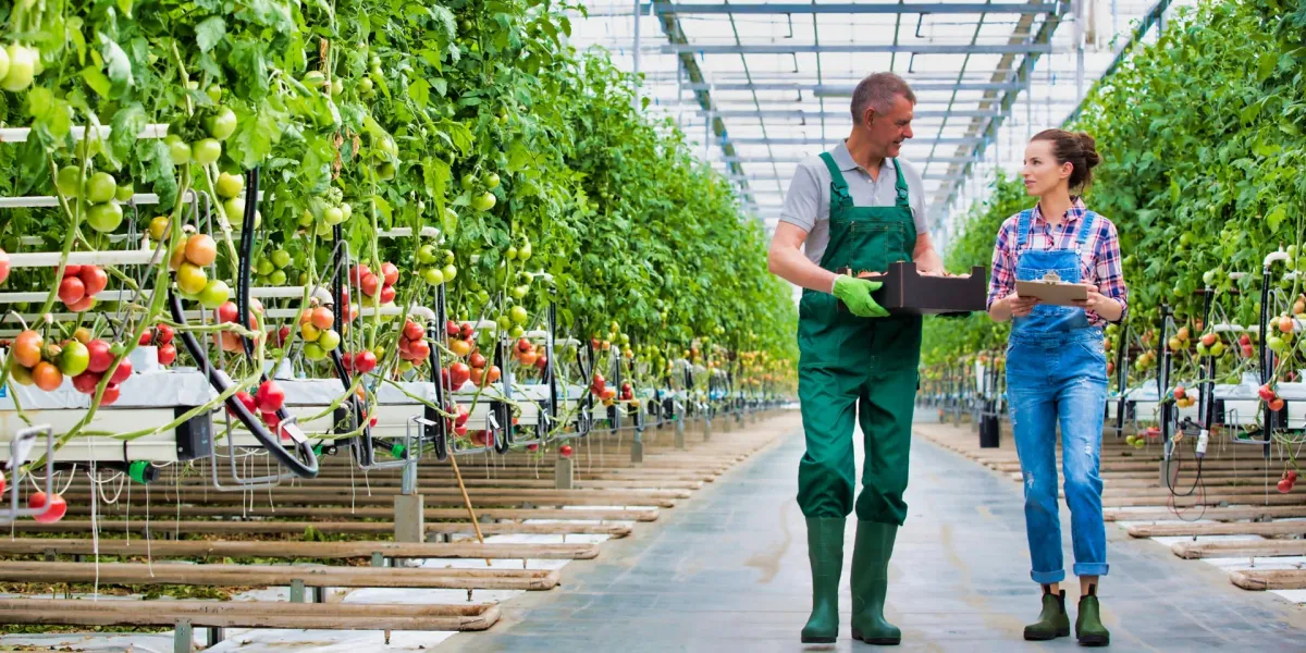 Advisory support for the design of a sustainability-linked loan portfolio